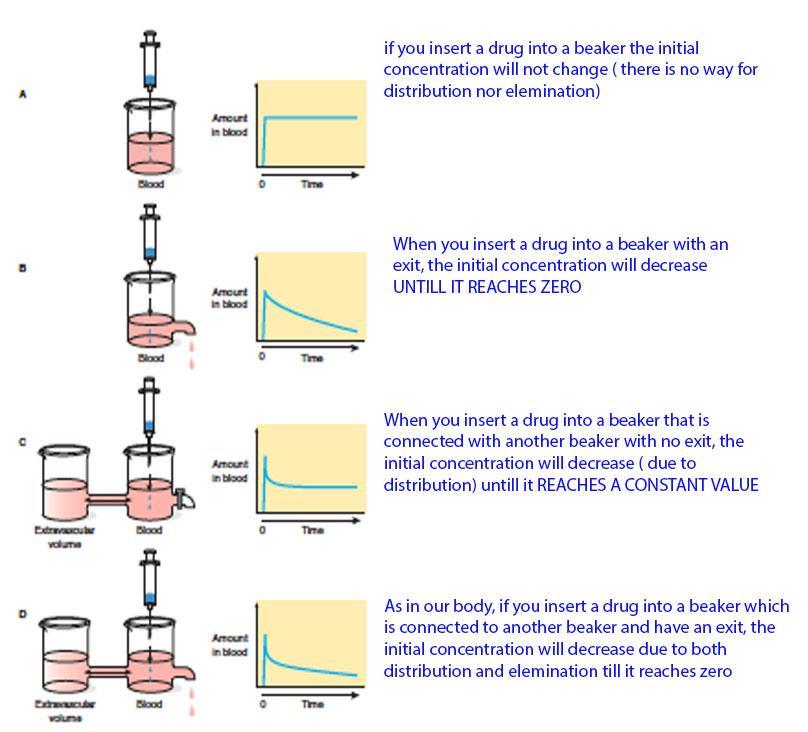 in zero order, the transporters won't increase (saturable), so the amount that reaches the urine is constant. Zero-order depends on transporters (the capacity, rate of function and the availability).