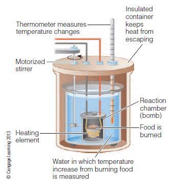 Bomb Calorimeter: When food is burned, energy is released in the form of