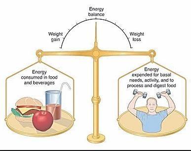 Energy Balance The energy balance means the amount of energy consumed (energy in) versus the amount of energy