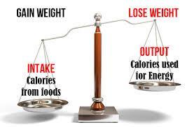 If energy in is > energy out = over fatness If energy in is