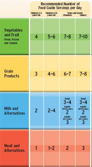 Match the Food to the Food Group! Vegetables and Fruit Grain Products Milk and Alternatives Using the guide Meats and Alternatives Foods to Limit 1. Find your age and sex group in the chart 2.