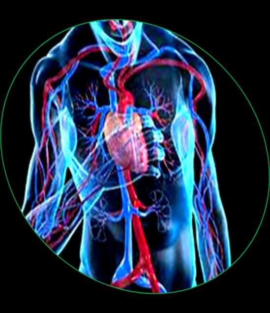 Cardiovascular disease and diabetes 2018 Vascular harmony Robert Chilton Professor of Medicine