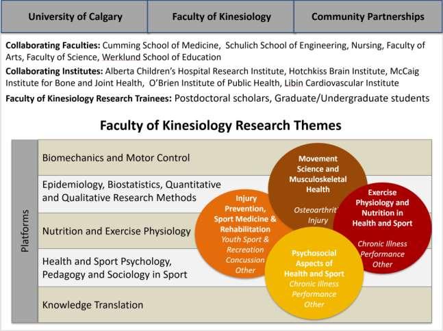 Figure 1: Faculty of Kinesiology, University of Calgary Strategic