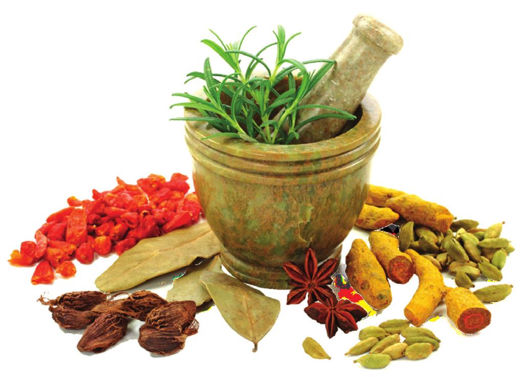 AYURVEDA Ayurveda, the traditional Indian medicinal system for healing, is not only used