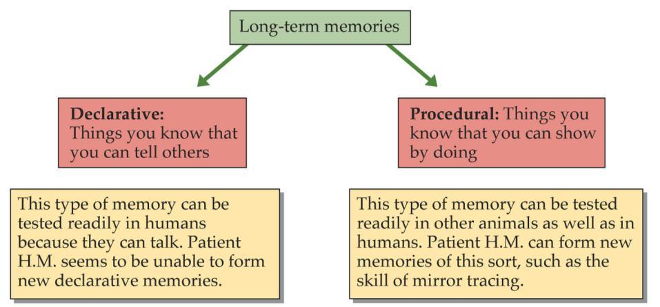 Forms of long term memory Explicit Implicit Memory can be classified as