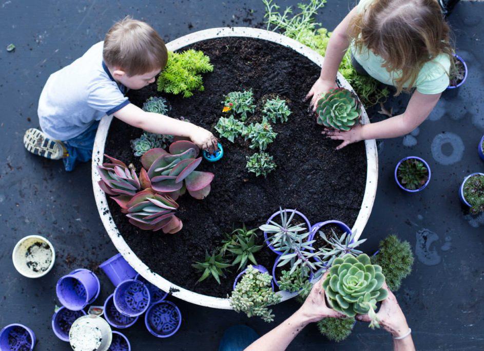 ADVANTAGES OF SENSORY GARDENS FOR CHILDREN WITH AUTISM SPECTRUM DISORDER Playing in the garden is good, playing with the garden is even better as it encourages a greater degree of interaction with