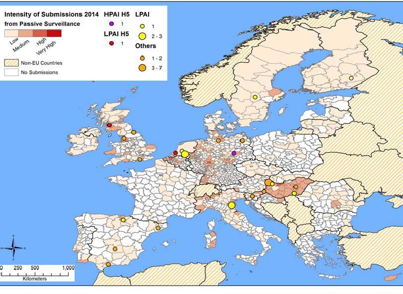 Detections of Avian Influenza by