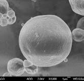 31,6-54,45% SEMs of Microparticles