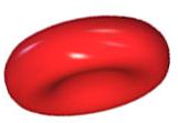 (skin) -chemical called hemoglobin lets oxygen get carried in blood (hemoglobin