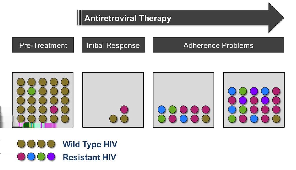 Figure 2 HIV Resistance Basic Concepts This graphic illustrates the basic concept that with suboptimal antiretroviral therapy, as may occur with poor adherence,