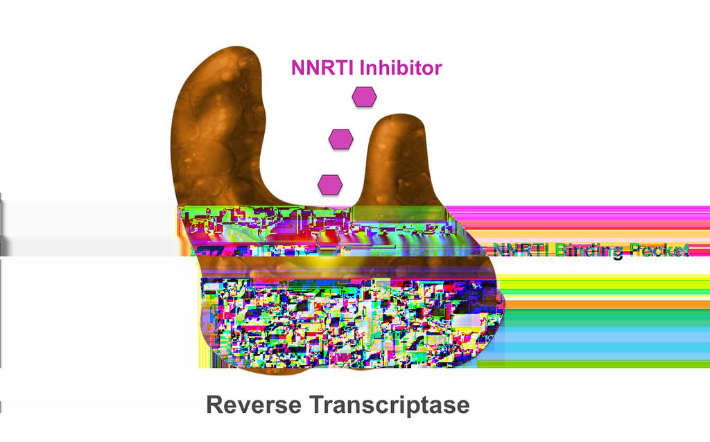 Figure 23 Interaction of NNRTI Medication with the Binding Pocket of Reverse Transcriptase The NNRTIs exert their action by attaching