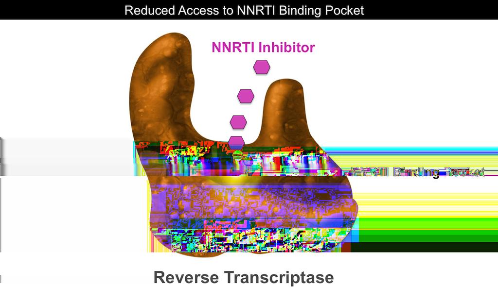 Figure 25 NNRTI Resistance Mutation Causing Reduced Access of NNRTI to Binding Pocket Resistance to NNRTIs can result from mutations that impact amino acids surrounding the binding site