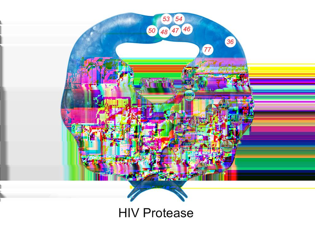 Figure 29 HIV Protease and Location of Amino Acid Resistance Mutations