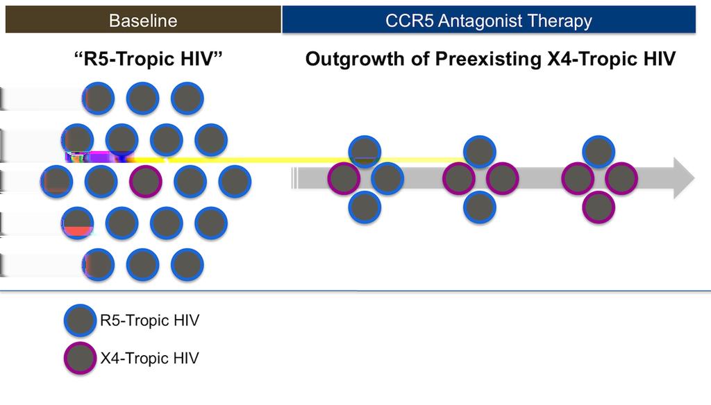 Figure 31 Emergence of Preexisting X4-Tropic Virus This illustration shows the emergence of preexisting minority variants of