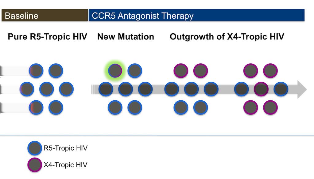Figure 32 Emergence of New X4-Tropic Virus This illustration shows emergence of newly formed X4-tropic HIV as a result of mutations in the