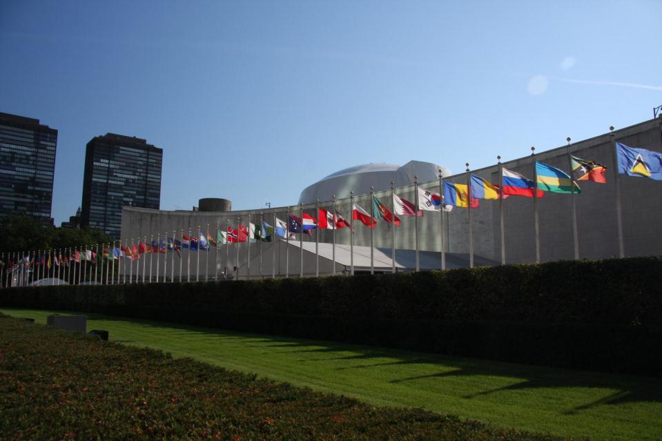 in the 2011 UN