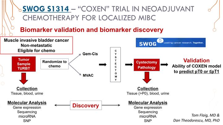 This response is going to be correlated to a biomarker that's called the COXEN biomarker, which is based on RNA expression in the tumor prior to chemotherapy.