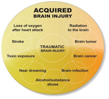 What is an Acquired Brain Injury? 4 4 Age Effects Children are just as vulnerable to traumas as adults.