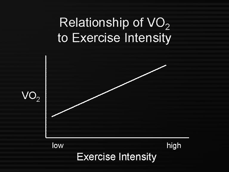 Energy Metabolism and Exercise O 2 demand and Exercise The higher our activity level, the more ATP needed by the muscles for contractile force production.