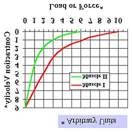 - Force-Velocity Relationship (cont.) The graph illustrates the force-velocity relationship for each of the muscles. Once again we have two lines that share only one point.