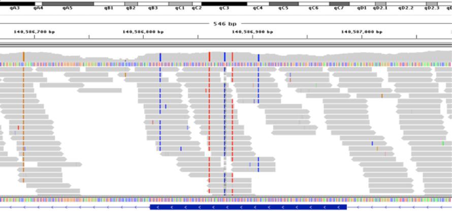 Exome sequencing (all