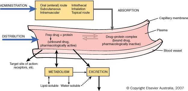Pharmacokinetics and route of administration The pharmacokinetics, site of action, and chemistry of the drug