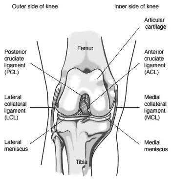 Introduction This guide has been produced to provide you with information regarding your knee arthroscopy and help reduce any fears or anxiety you may have about what to expect.