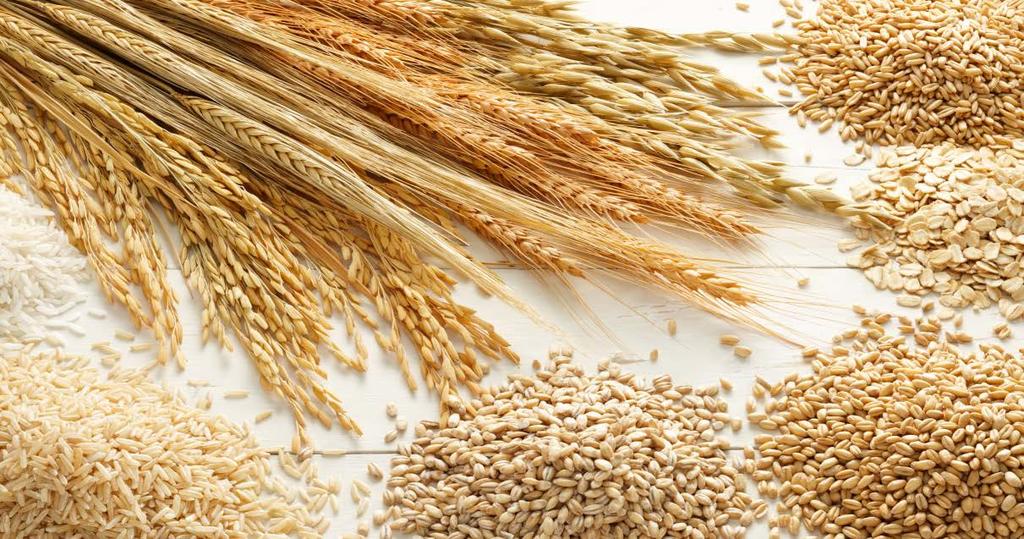 Celiac Gluten FREE diet No wheat, rye, barley Oats can be used cautiously Gluten