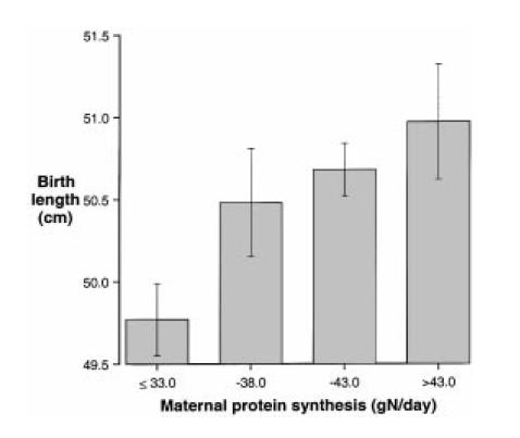 Role of Protein in Infant Birthweight Duggleby
