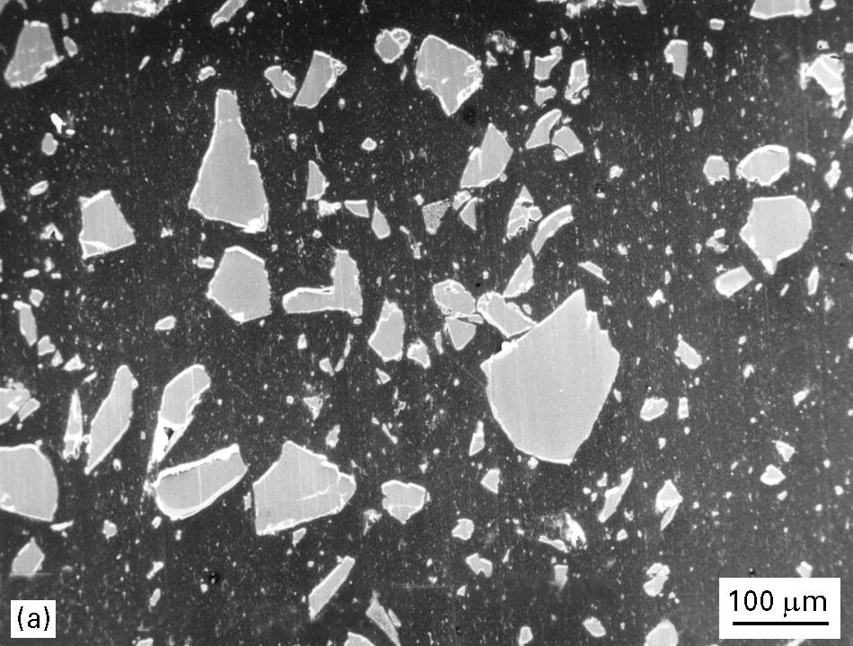 Figure 5 Scanning electron micrograph of polished surface of (a) 20% and (b) 40% Bioglass /HDPE composite.