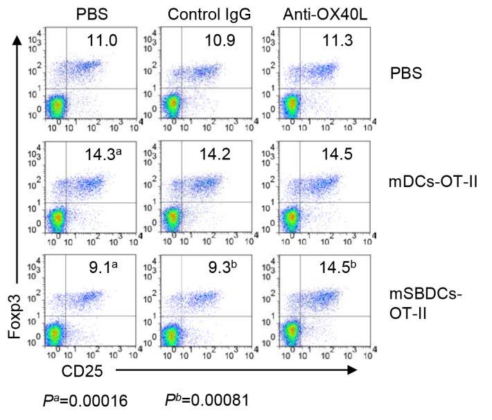 Supplementary Figure 7 OX40L-blocking antibody treatment restores decreased Treg-cell population in msbdc-immunized mice.