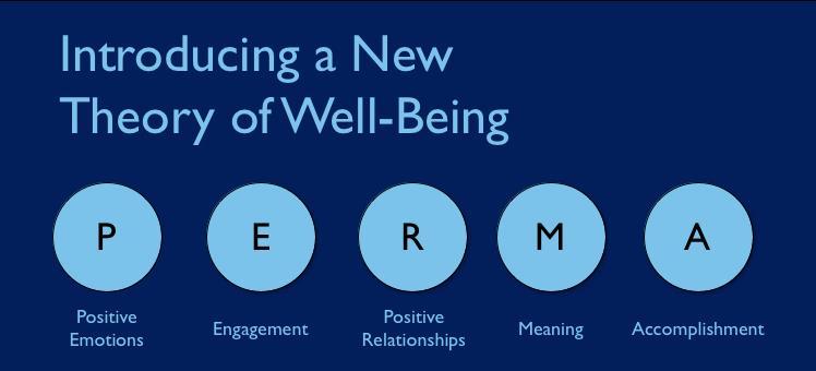 Flourishing = PERMA Positive Emotions Engagement Relationships Meaning