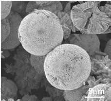 microspheres Aligned bi layer of ZnO array SEM images of the ZnO chemically