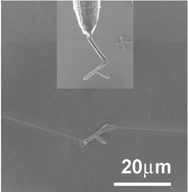 29 our 1D, 2D and 3D nano/microrods can be easily