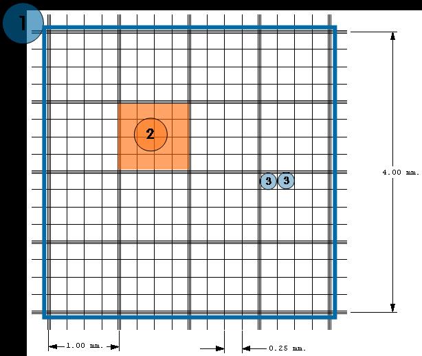 Equation 1 Cell counting Count 4 #2 squares according to Figure 5.