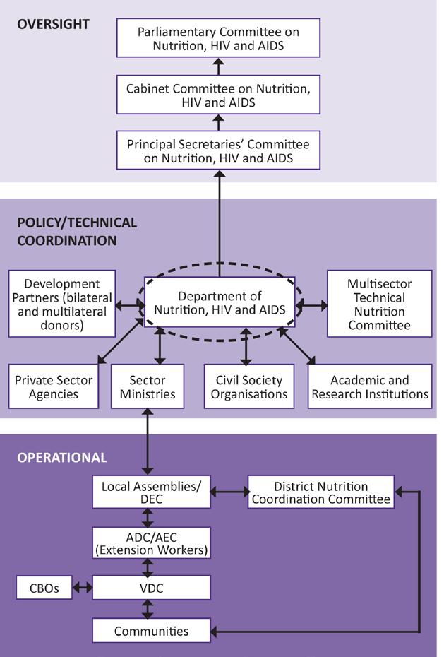 Figure 5: Institutional Arrangements of the Multi- Sector Nutrition
