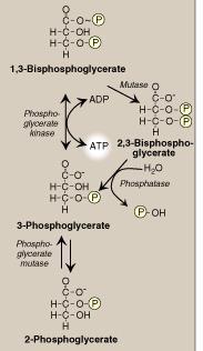 Synthesis of 2,3