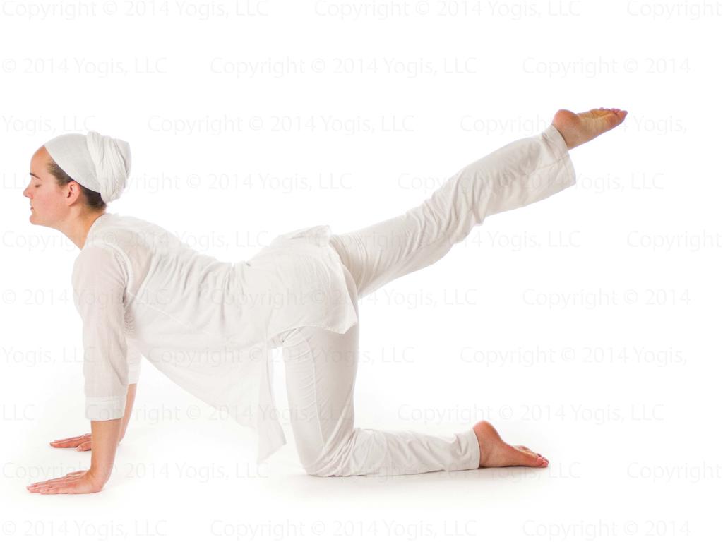 Extend the left leg straight out behind, raise it as high as