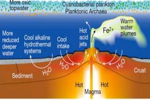 Section 1 Lecture 1- Origins of Life Life probably started by Hydrothermal Vents. Photosynthesis originated around 3GA, as cells figured out how to fix CO2 and release O2. Eukaryotes originates 1.5-2.