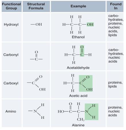 Functional Groups Functional groups can change properties of hydrocarbons, e.g. make It hydrophilic.