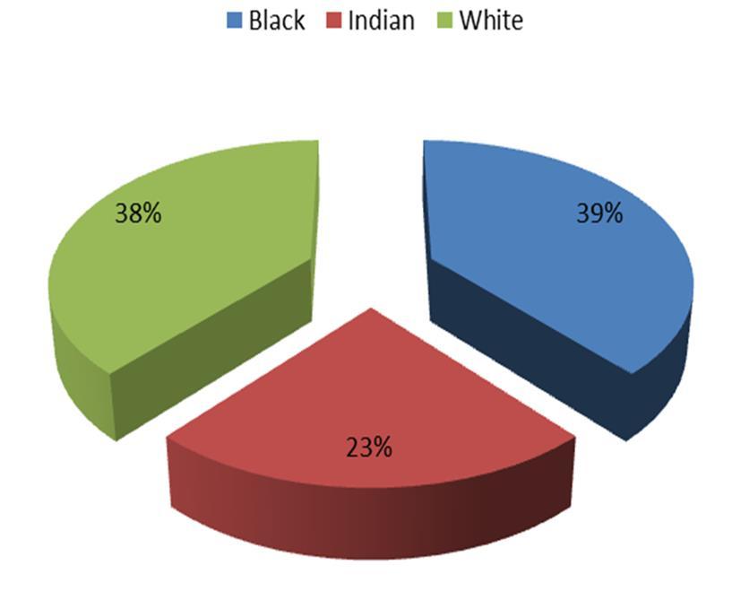 Results Racial variations in the sample: 39% Black 38% White 23% Indian ANOVA Observe whether ethnic differences exist in behaviour