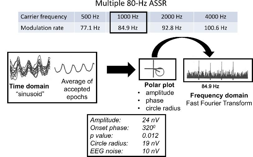 Introduction The main clinical goal for the auditory steady-state response (ASSR) technique is to objectively and accurately identify the presence and type of hearing loss in young infants, and to