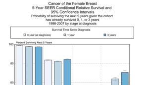US BREAST CANCER MORTALITY 1975 2007 Mammo screening starts in USA ~30% reduction Breast