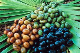 Alternative Protocol Saw Palmetto may be helpful for symptoms only does not shrink Plant Sterols may be help for urinary symptoms Stinging Nettle Helps with BPH