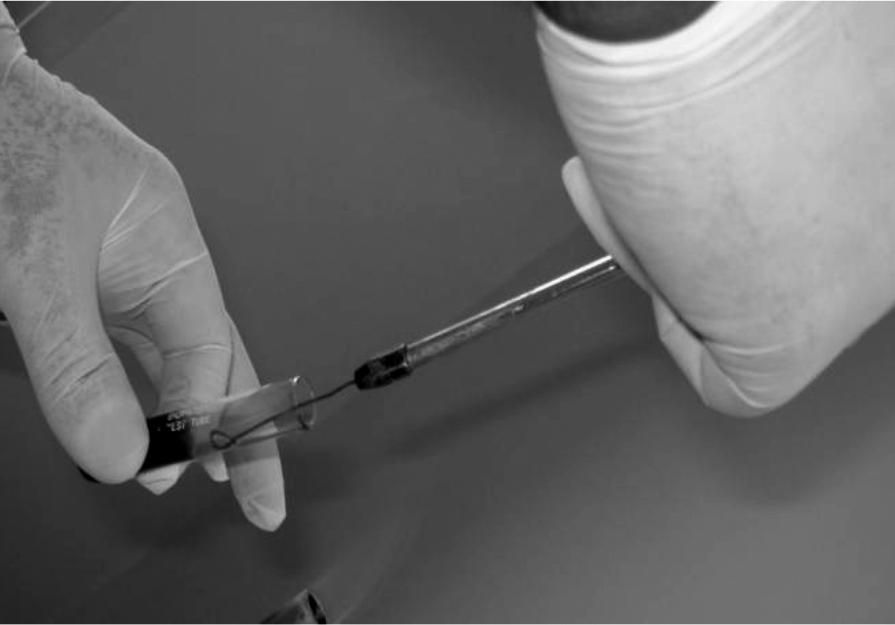 - AN IN VITRO STUDY Test Tube Inoculation: lated.