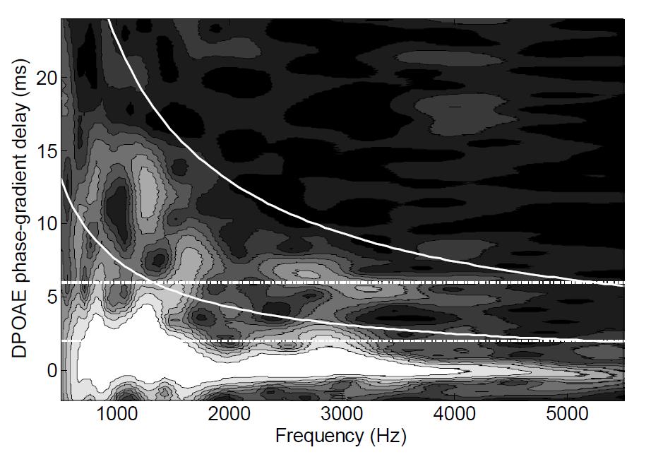 DPOAE wavelet unmixing Hyperbolic filtering regions following the delay-frequency relation implied by scaling