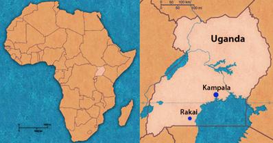 Cross-secEonal study: Factors associated with HIV infeceon in Rakai, Uganda (Serwadda AIDS 1992) Sample of 1292 adults from 21 communi,es in Rakai conducted in 1989 Interview (to assess factors
