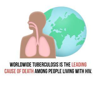 [3] As many as 14 million people in the United States have been exposed to the bacteria that cause tuberculosis (TB).