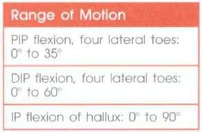 HALLUX AND 