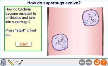 The evolution of superbugs